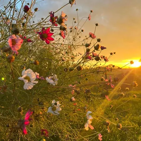 Vakantiehuis Kraina Choszcza