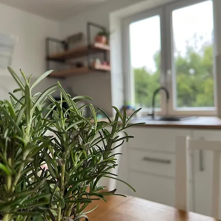 Kraina Choszcza * Choszczno