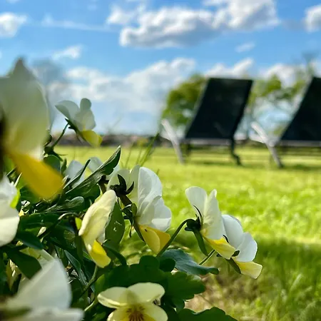 Kraina Choszcza Choszczno