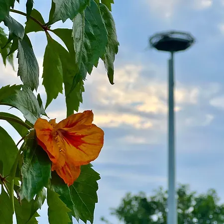 Vakantiehuis Kraina Choszcza