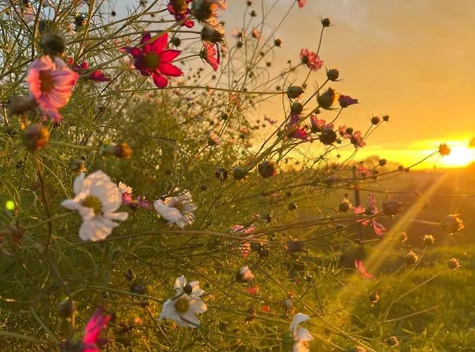 Holiday home Kraina Choszcza