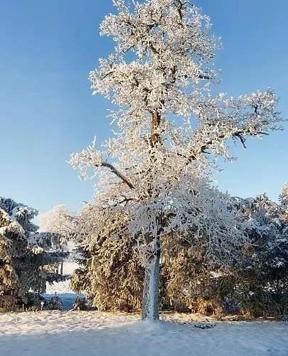 Kraina Choszcza Holiday home Choszczno