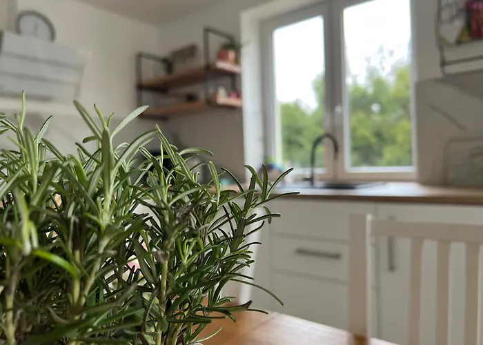 Kraina Choszcza * Choszczno