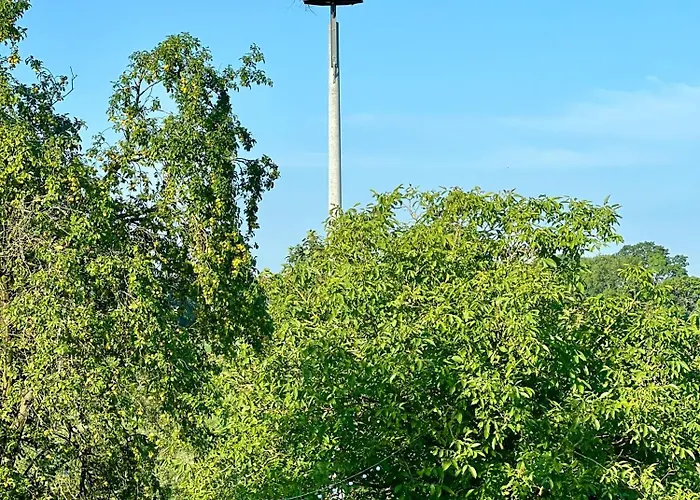 Kraina Choszcza Holiday home