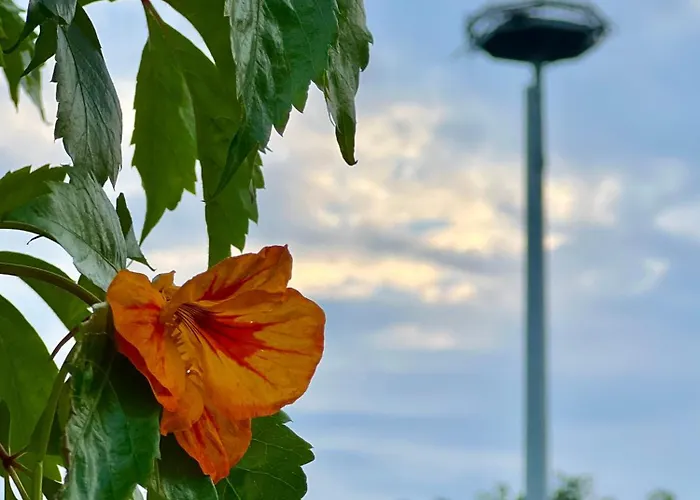 Nyaraló Kraina Choszcza