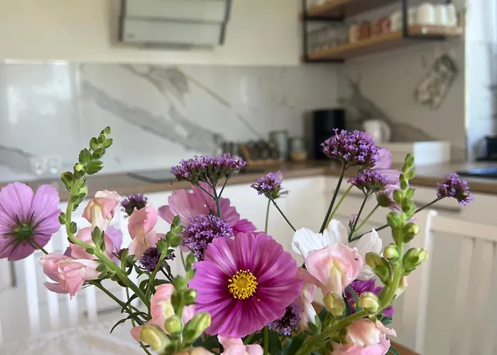 Kraina Choszcza Choszczno